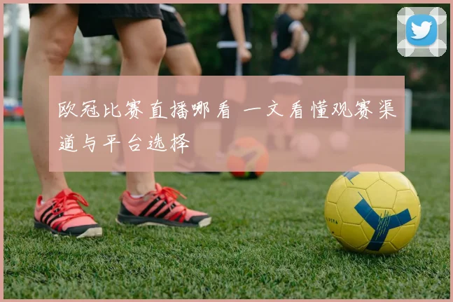欧冠比赛直播哪看 一文看懂观赛渠道与平台选择