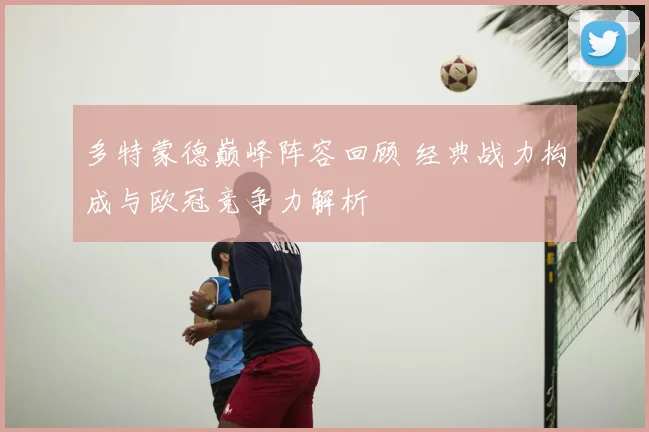 多特蒙德巅峰阵容回顾 经典战力构成与欧冠竞争力解析