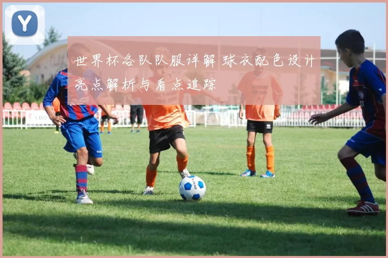世界杯各队队服详解 球衣配色设计亮点解析与看点追踪