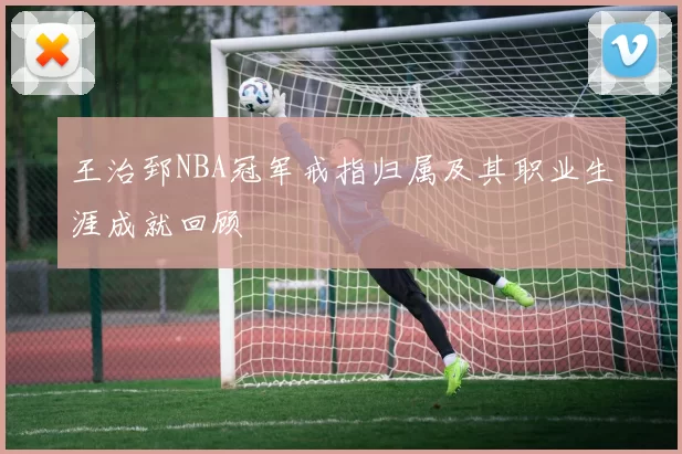 王治郅NBA冠军戒指归属及其职业生涯成就回顾