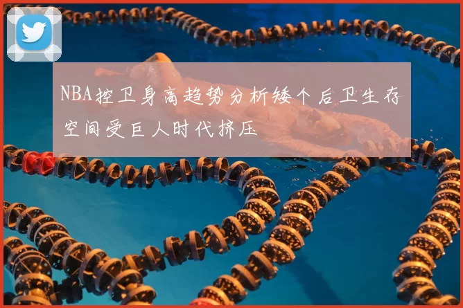 NBA控卫身高趋势分析矮个后卫生存空间受巨人时代挤压