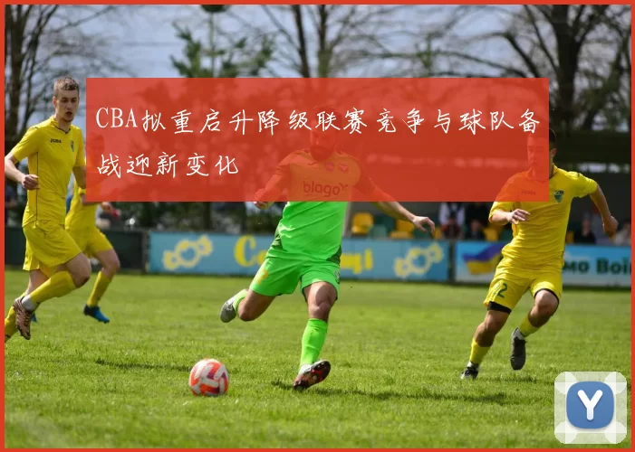 CBA拟重启升降级联赛竞争与球队备战迎新变化